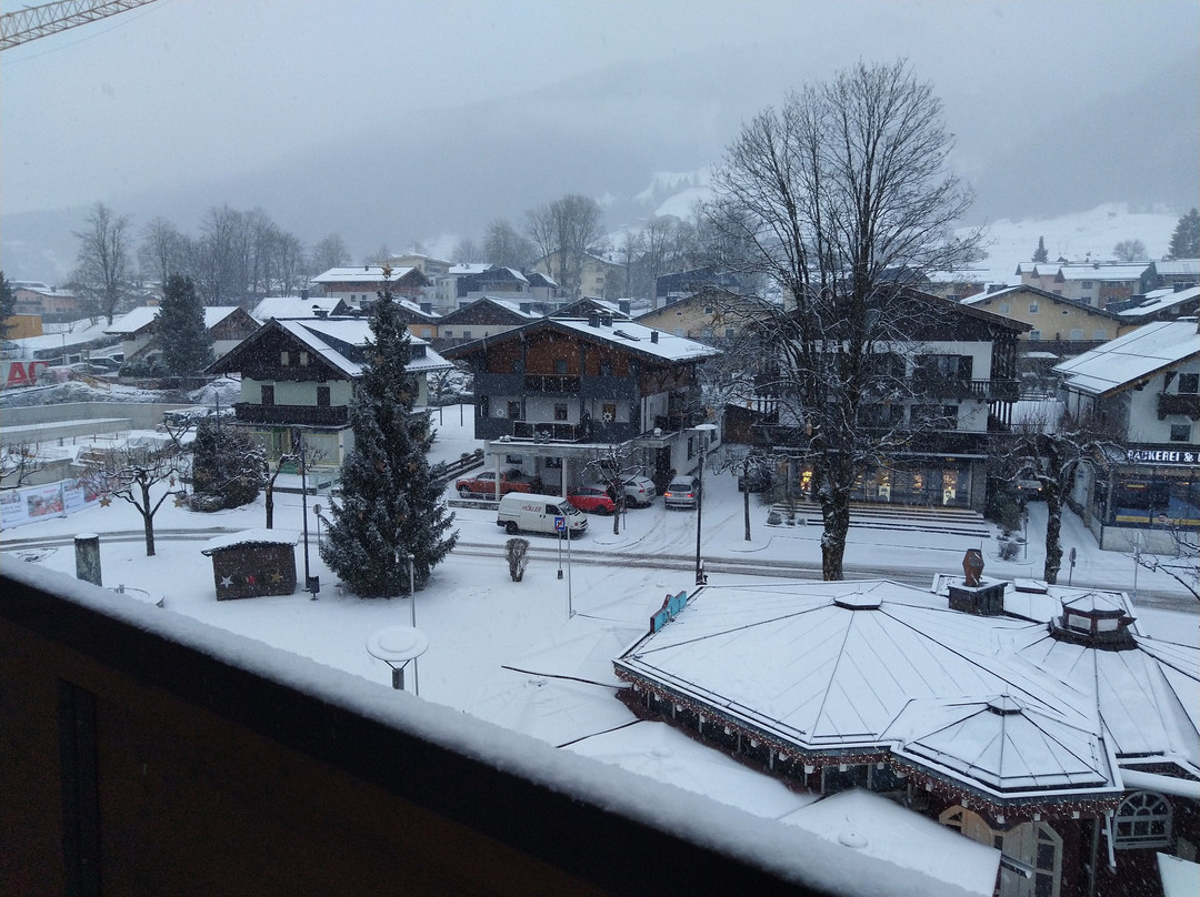 LEDERER's LIVING主图