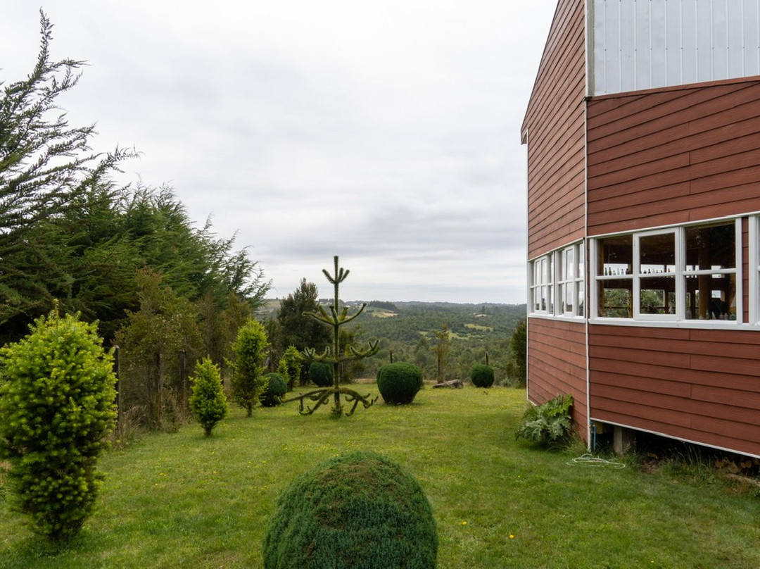 Puqueldon旅游攻略图片