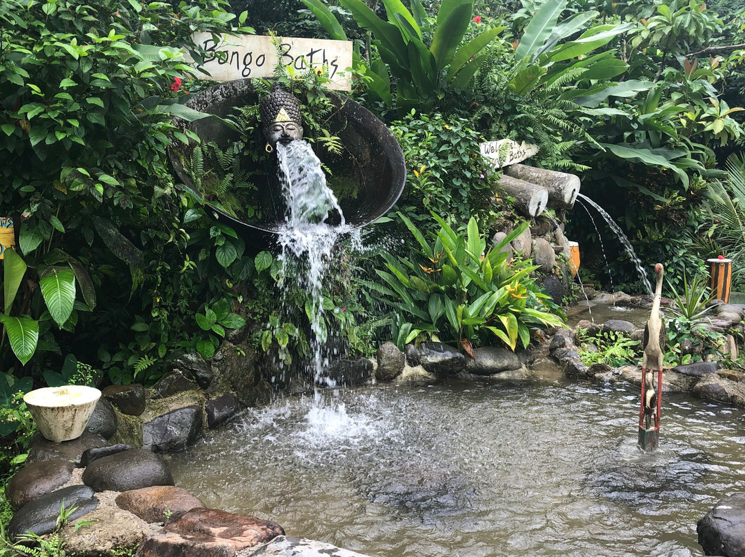 Bongo Baths-Wotten Waven必去景点