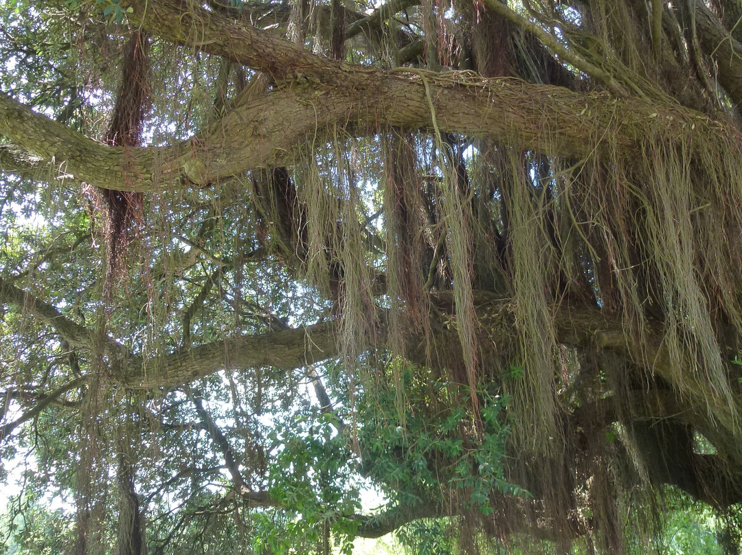 Wairoa River Walkway-Wairoa必去景点