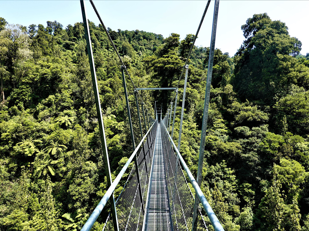 Waiohine Gorge Suspension Bridge景点图片