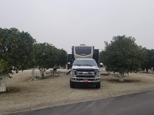Orange Grove RV Park主图