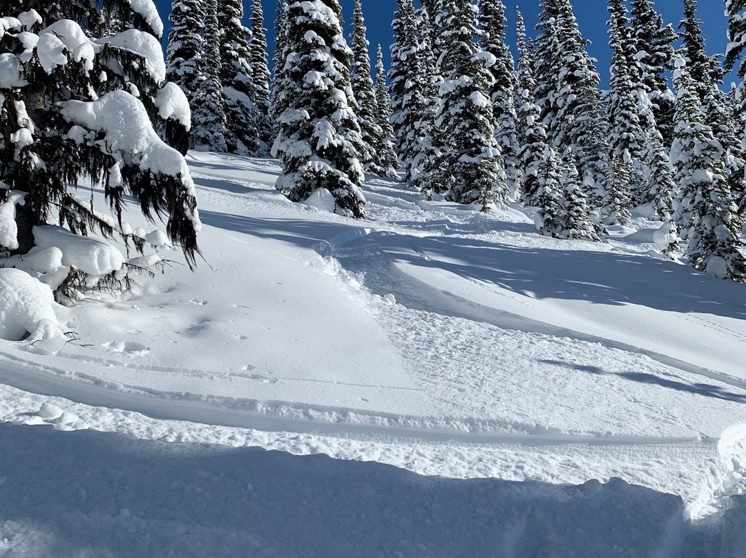 Cariboo SnowCat Skiing景点图片