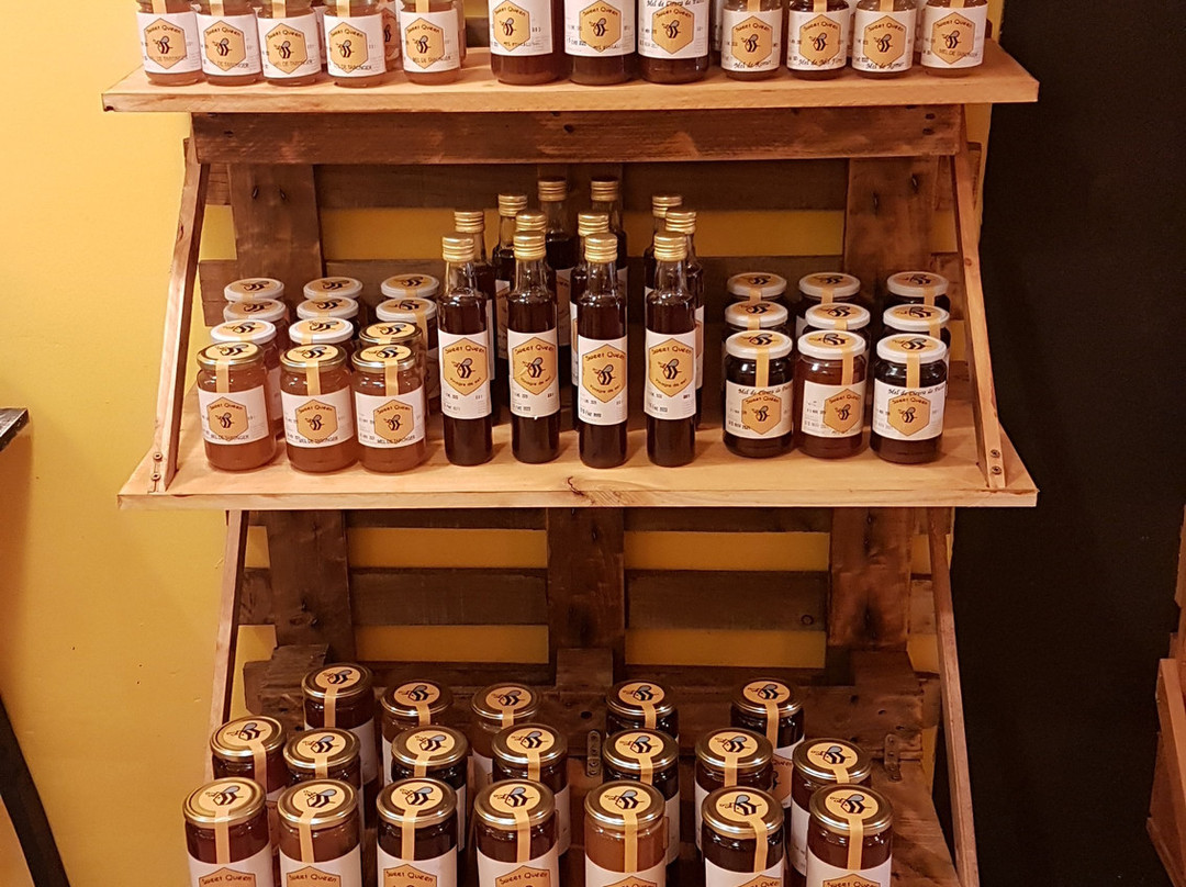 Constanti旅游攻略图片