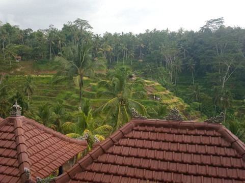 Fun Group Bali-登巴萨必去景点