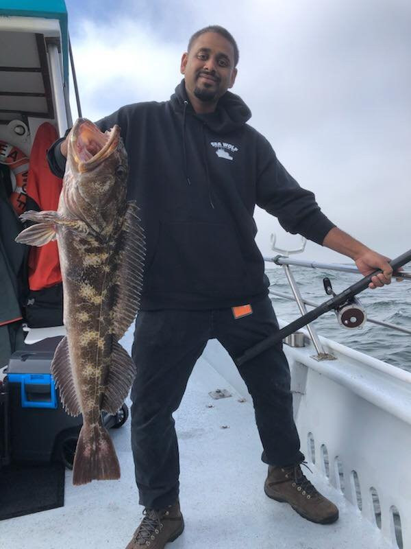 Fish Emeryville-埃默里维尔必去景点