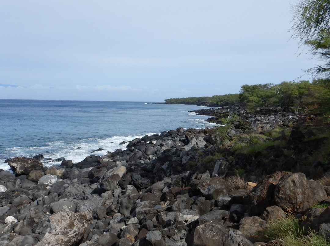 Kapa’a Beach Park景点图片