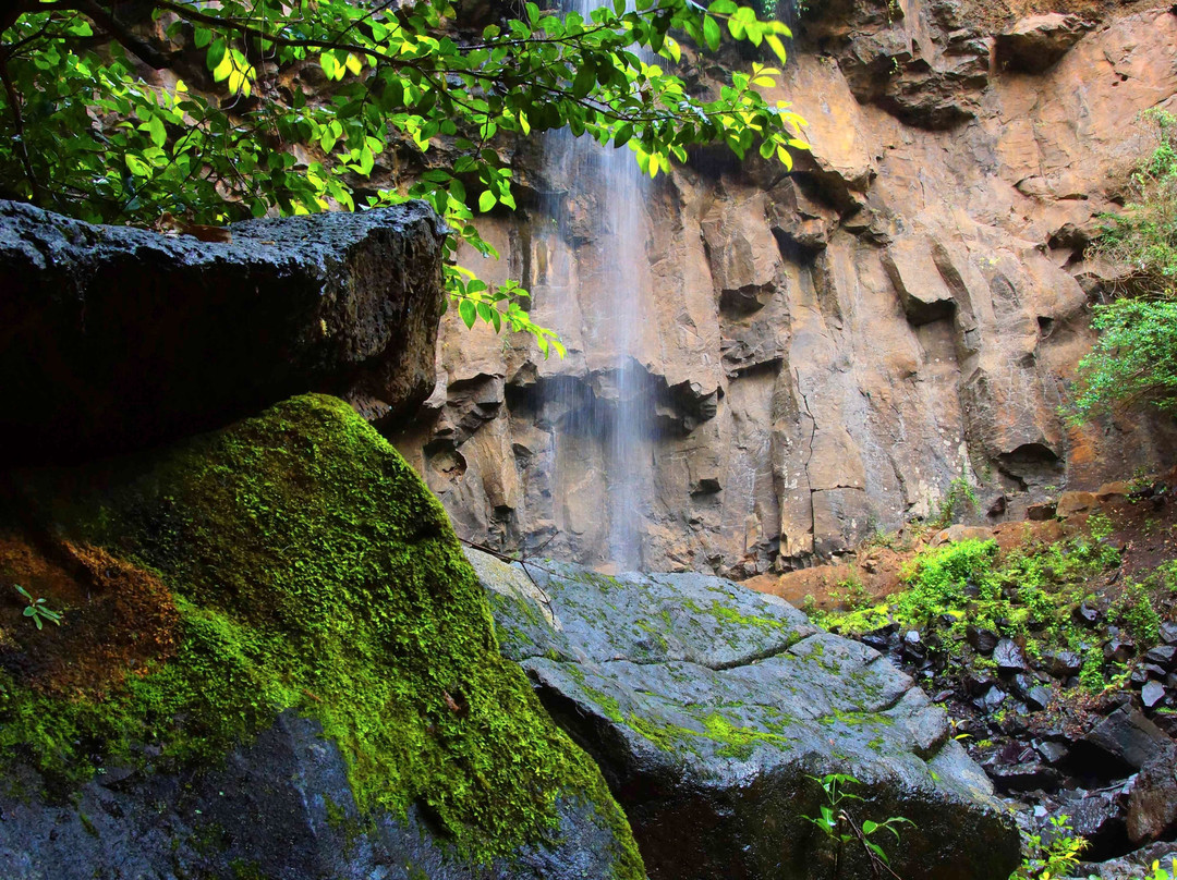 Browns Falls-Killarney必去景点