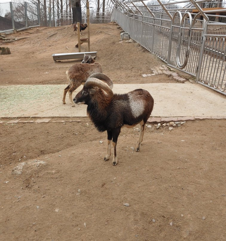 Jeonju Zoo-全州市必去景点