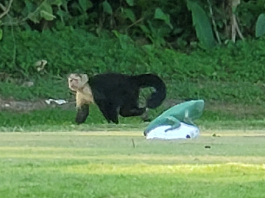 La Iguana Golf Course景点图片