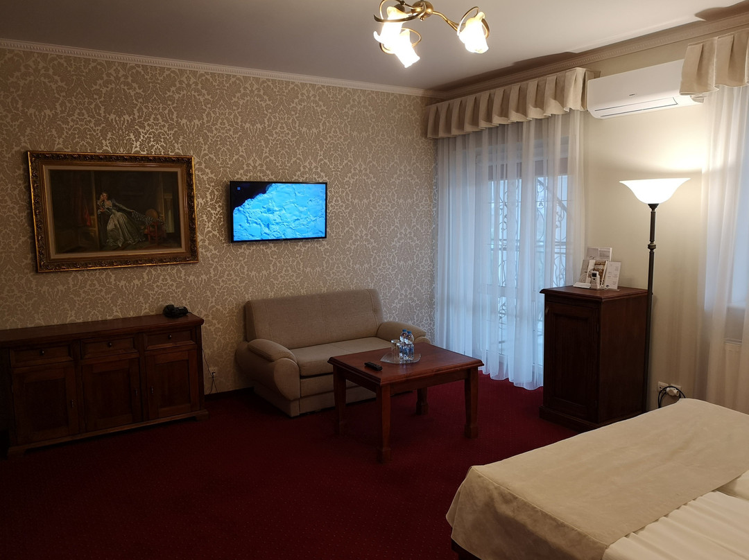 Dwor Czarneckiego Wellness & SPA主图