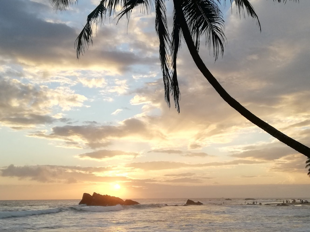 Galle Unawatuna Cooking Class by AGS-加勒必去景点