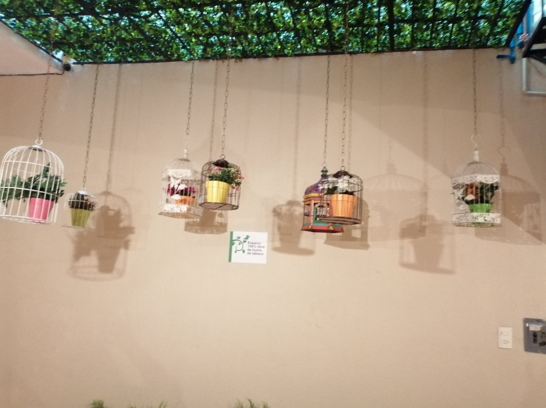 La Casa del Laurel主图