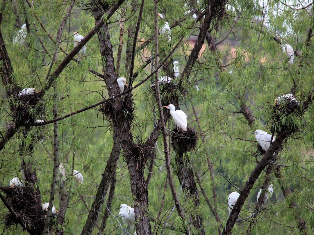 Willi's Best Guide Medellin-麦德林必去景点