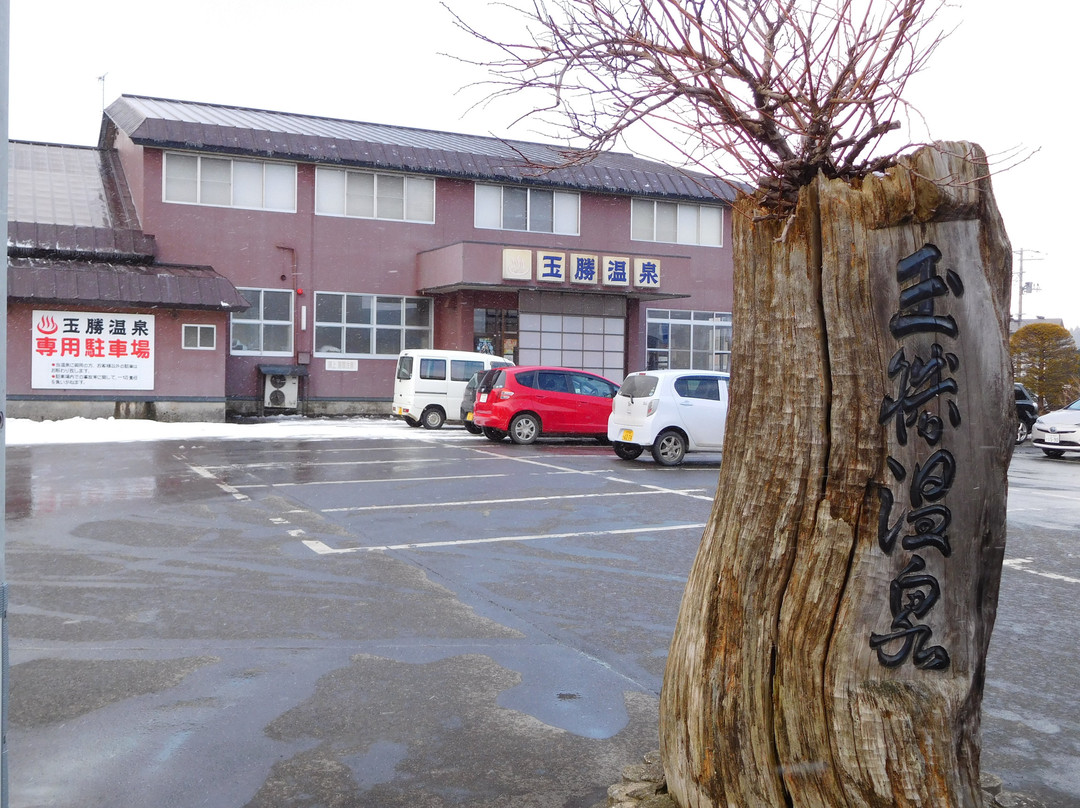 Tamakatsu Onsen主图