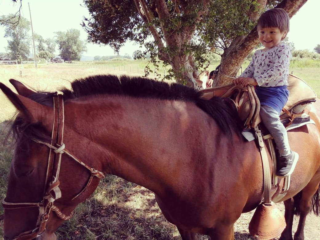 Centro turístico isla doña Inés