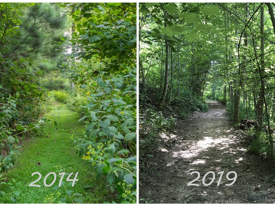 Norman Wilder Forest Trail景点图片