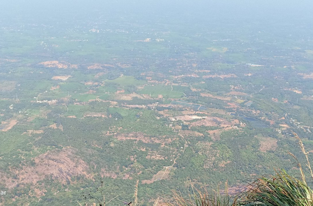 Meenampara View Point-Nelliyampathy必去景点