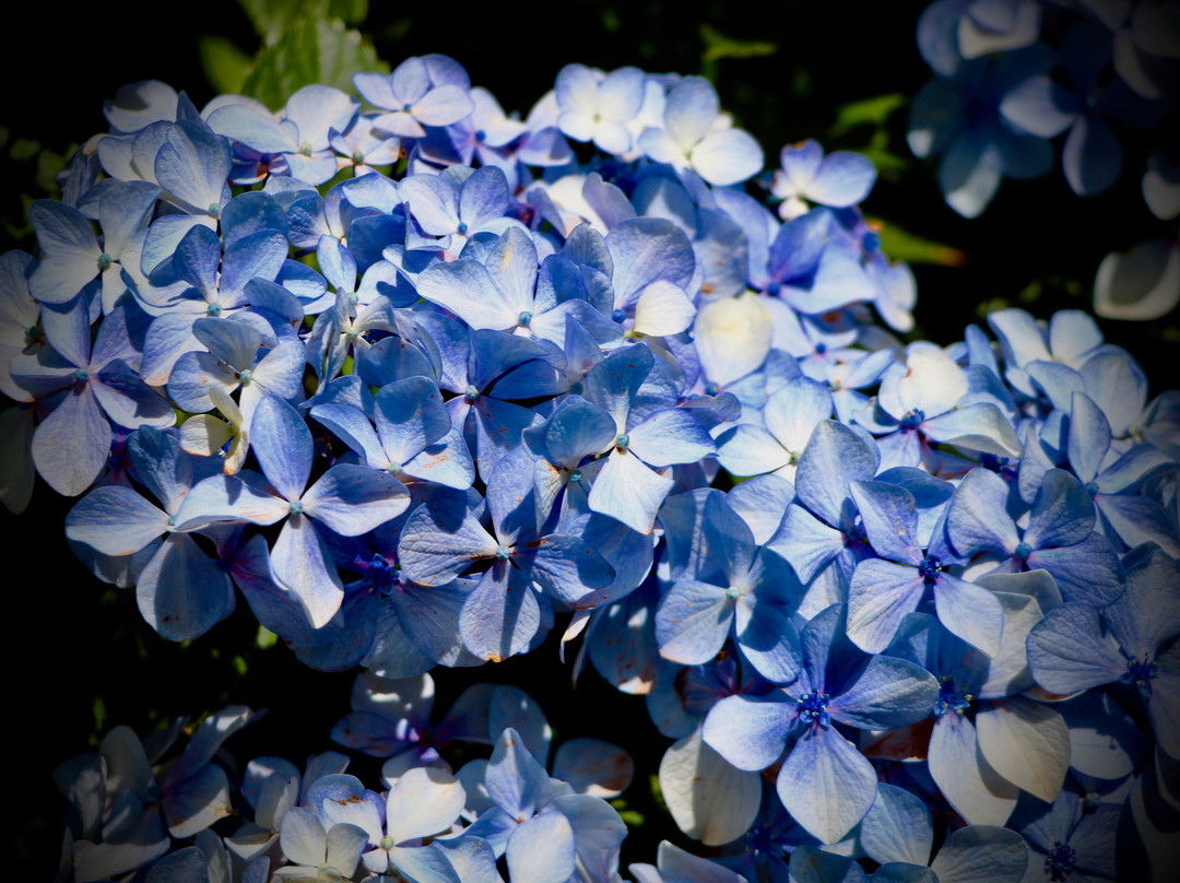 The Loft In The Mill Boutique Accommodation主图