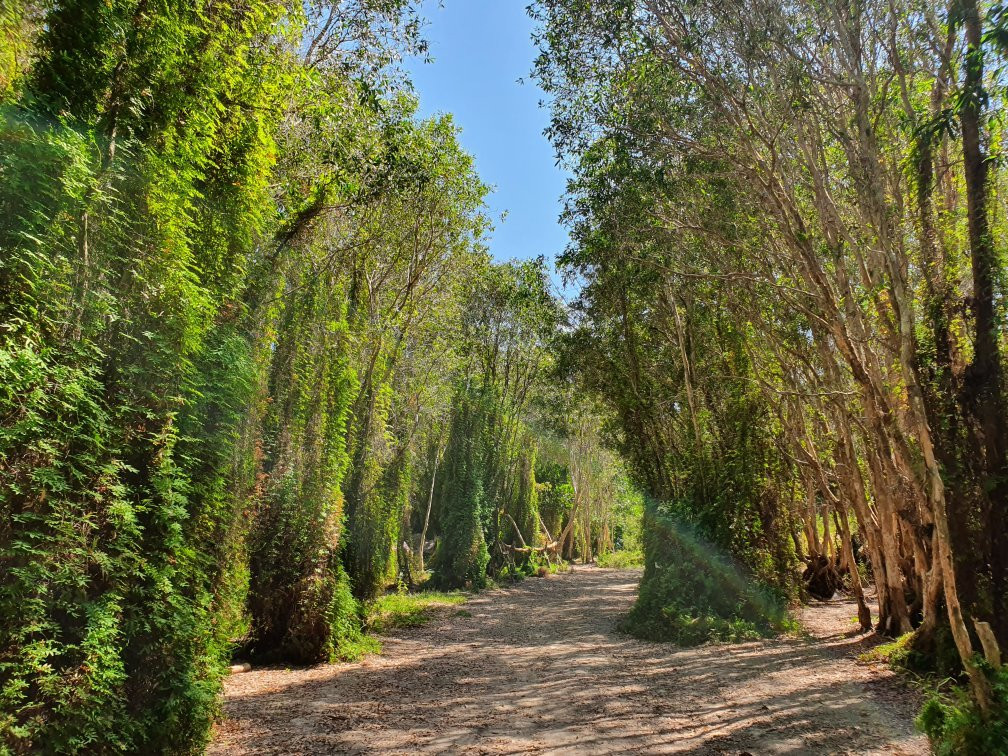 Ven Ven Hotel Ho Coc主图