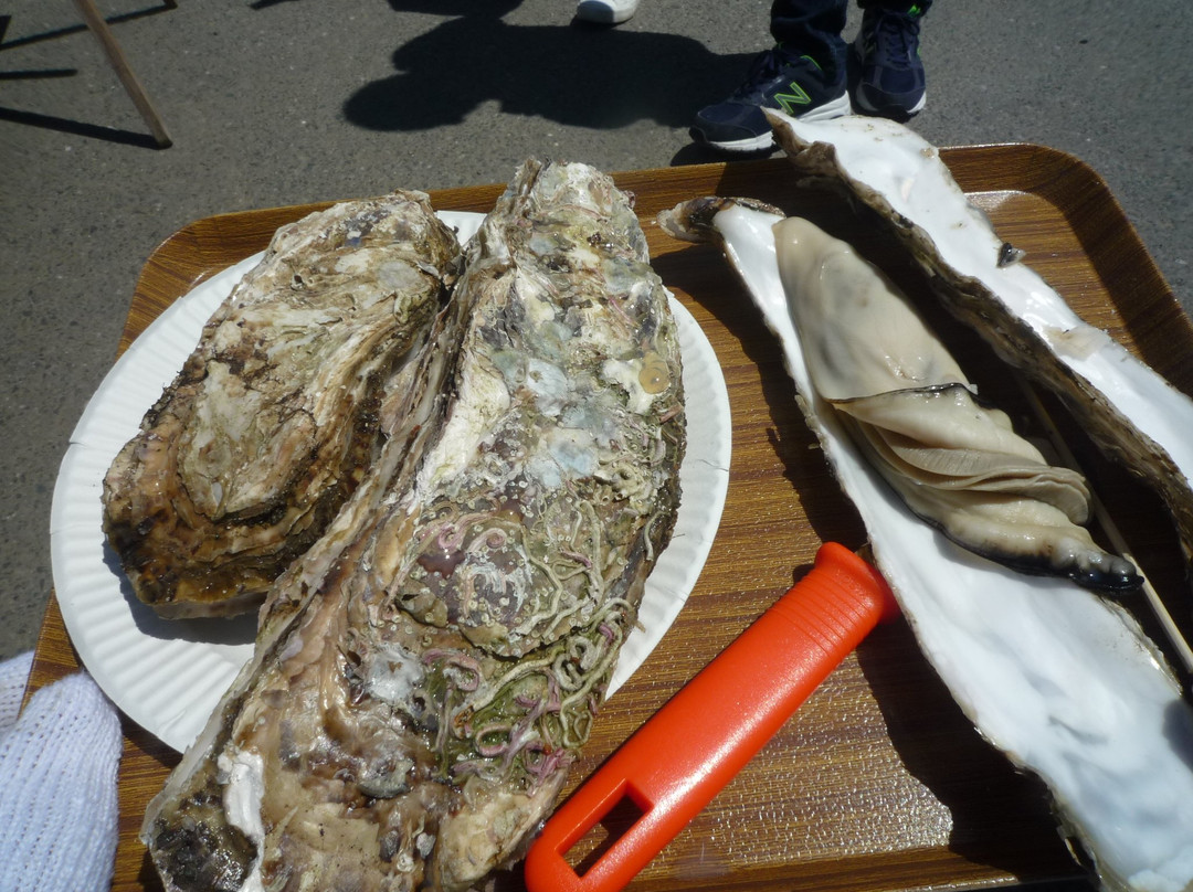 Ippon Matsu Jaya-陆前高田市必去景点