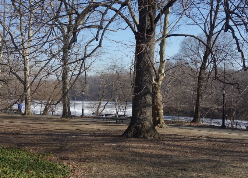 Gar Pond-White Springs必去景点