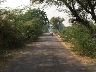 Rajput Cultural Adventures-焦特布尔必去景点