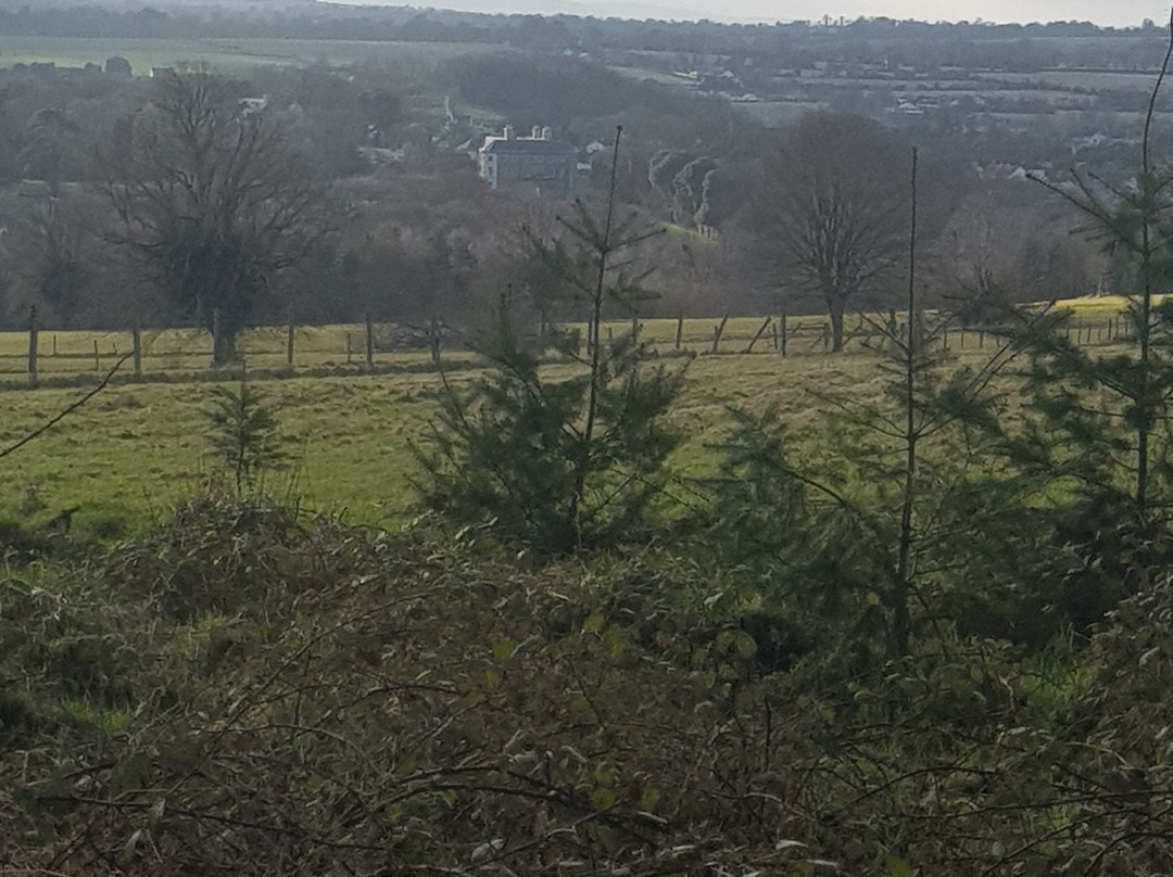 Doneraile Wildlife Park-Doneraile必去景点