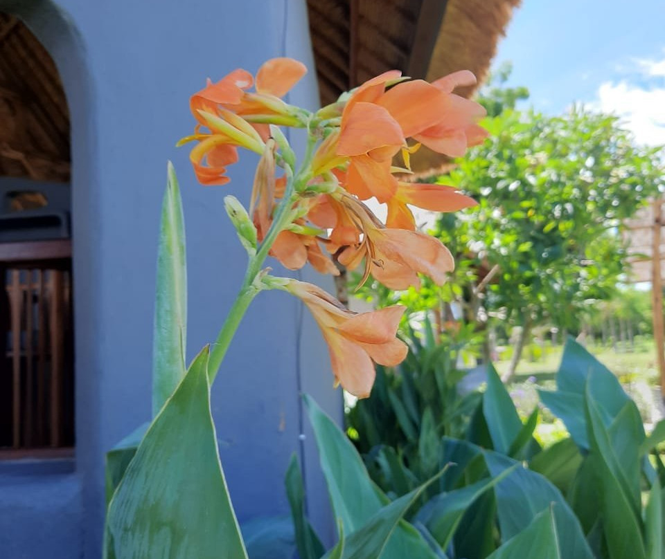 Kalisada旅游攻略图片