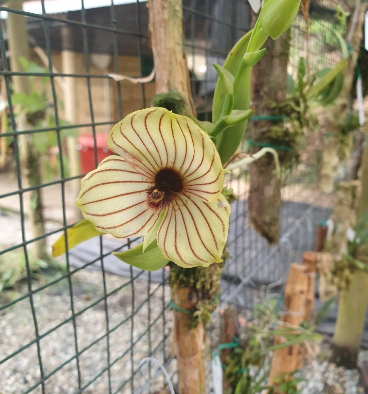 Reserva Orquideas-Jardin必去景点