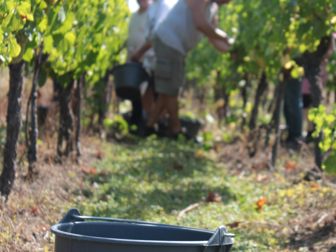 Bestheim-Westhalten必去景点