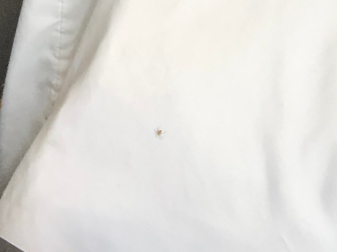 Hotel Bella Casona主图