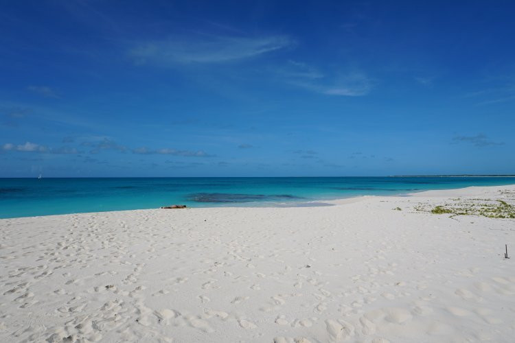 Princess Diana Beach-巴布达必去景点