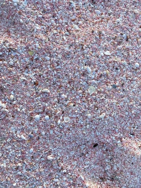 Barbuda Belle Luxury Beach Hotel主图