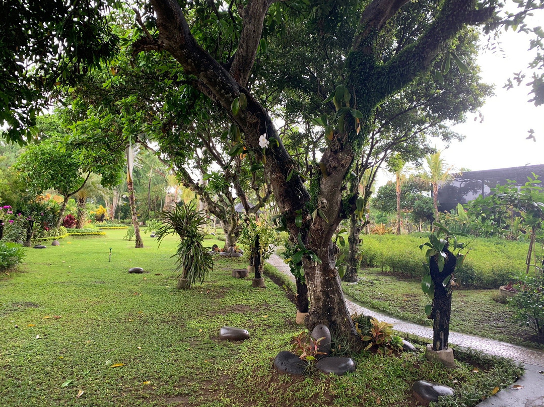 巴厘兰花园景点图片
