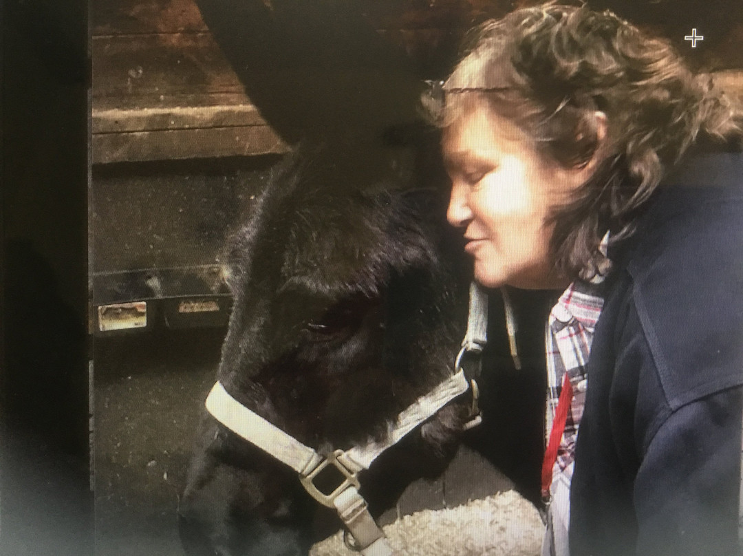 Ray of Light Farm-East Haddam必去景点