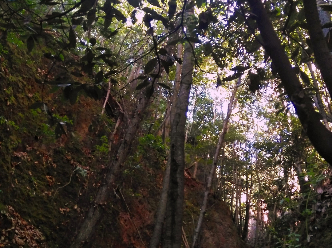 Finca de Osorio景点图片