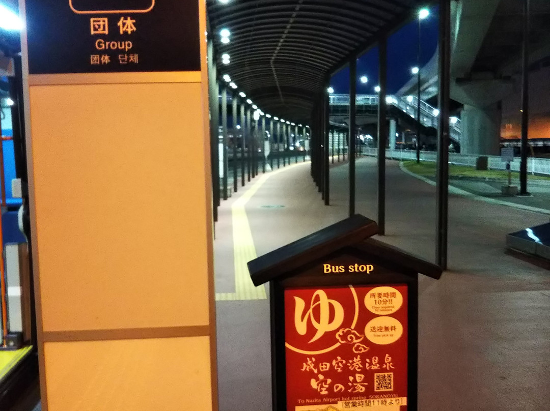 Narita Airport Onsen Sora No Yu