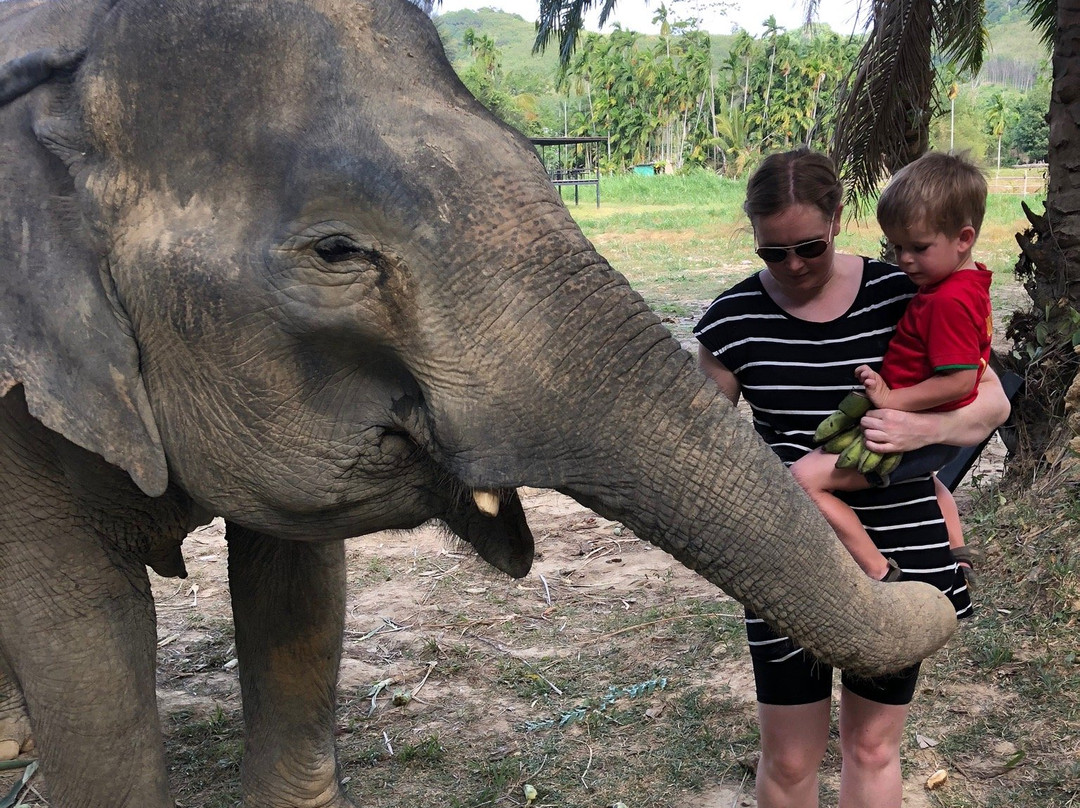 Lanta Elephant Sanctuary景点图片
