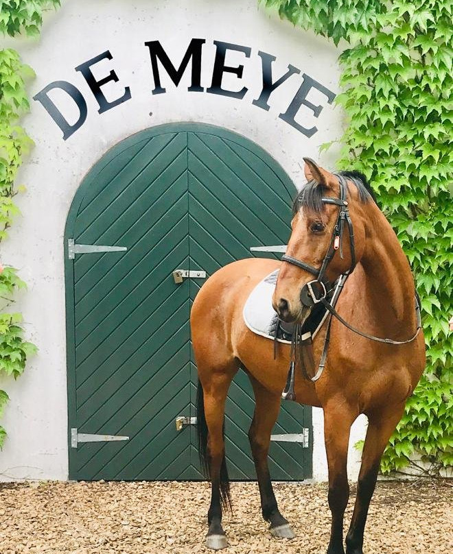 Ubuntu Horse Trails-斯泰伦博斯必去景点