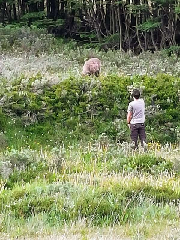 Reserva Nacional Cerro Castillo-Coyhaique必去景点