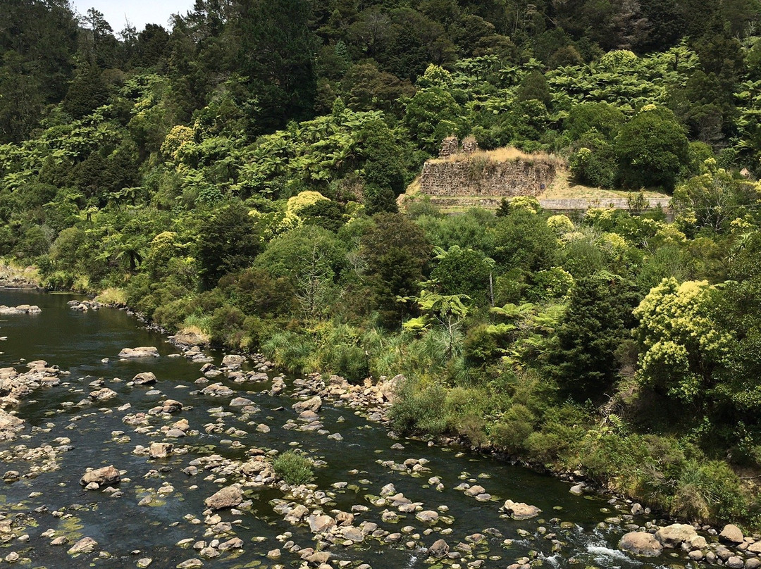 Hauraki Cycle Trail景点图片