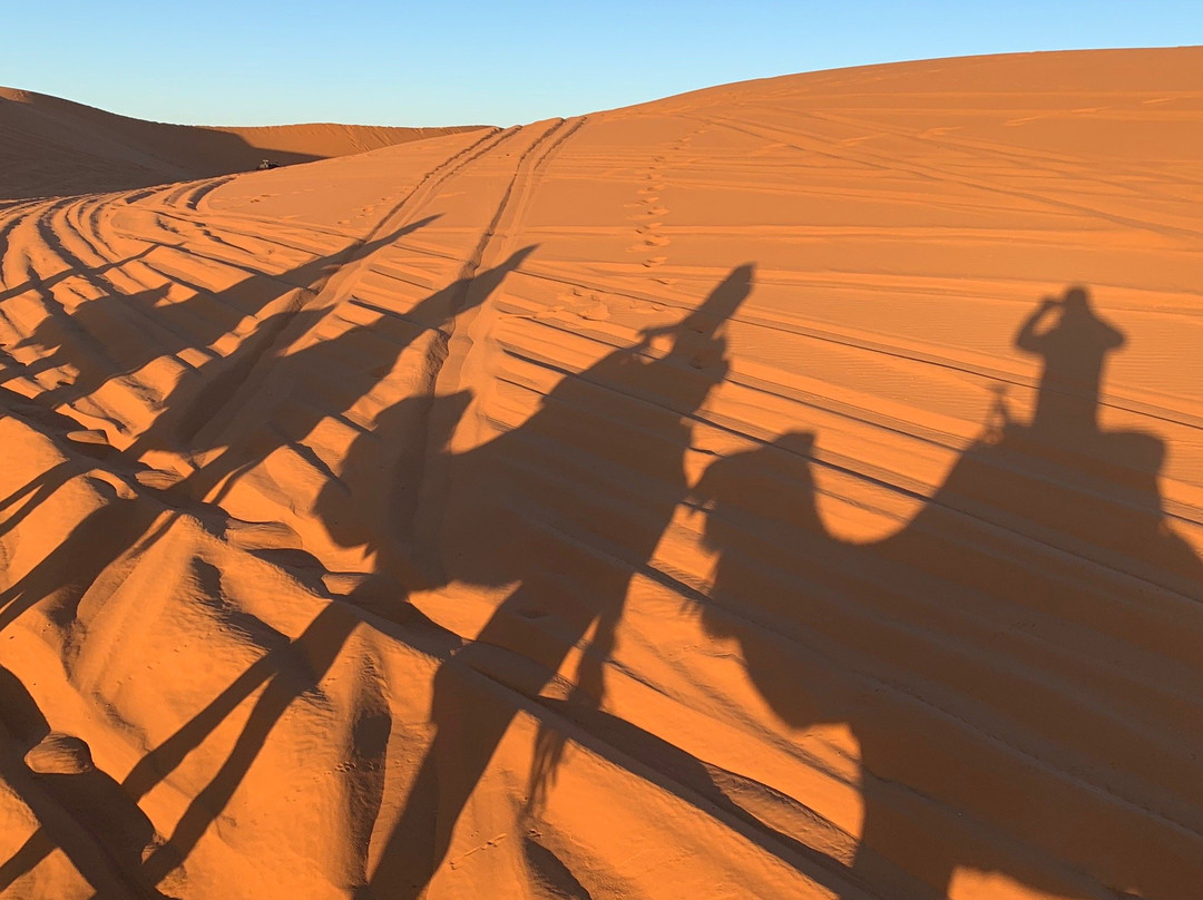 Desert Tours Marocco  Day Tours-梅如卡必去景点