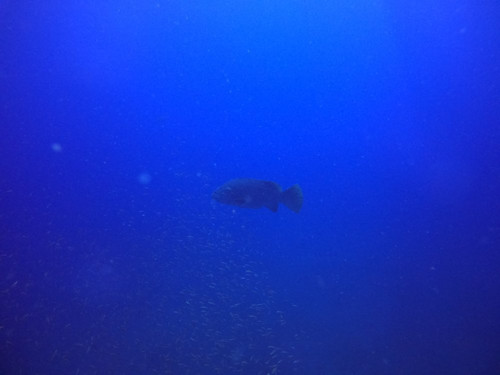 Yongala Dive-Ayr必去景点