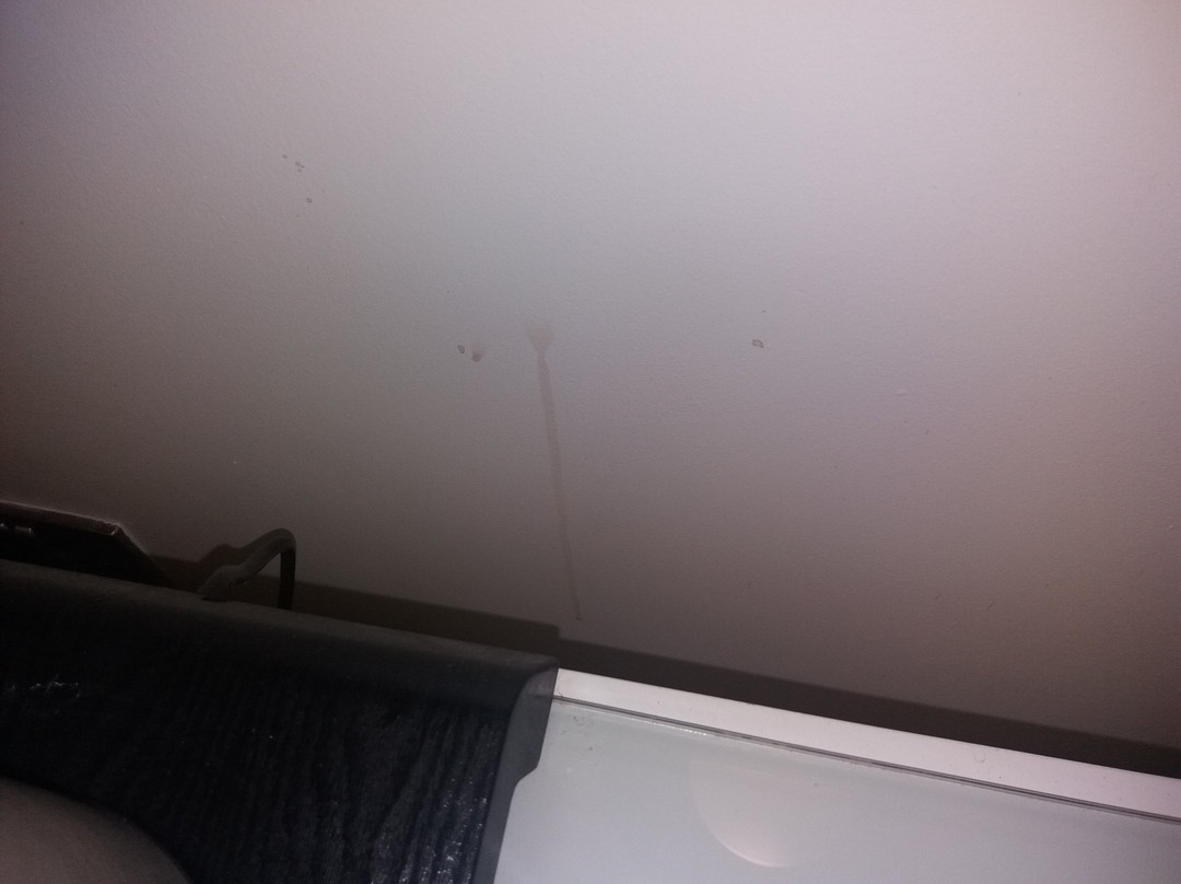 The Lion Hotel主图