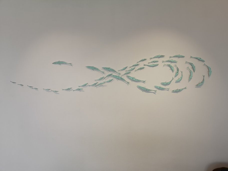 TOI Gallery-奥克兰必去景点