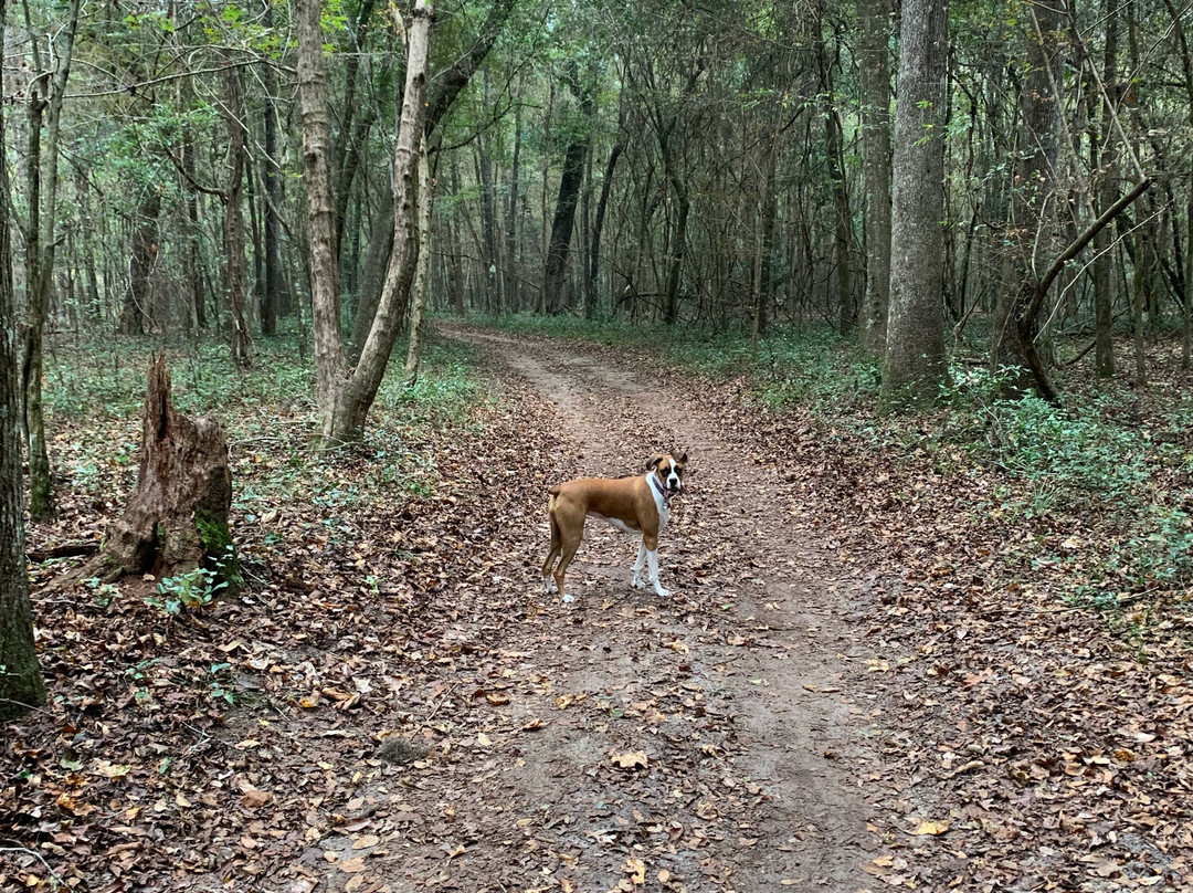 Deseret Ranch-圣克劳德必去景点