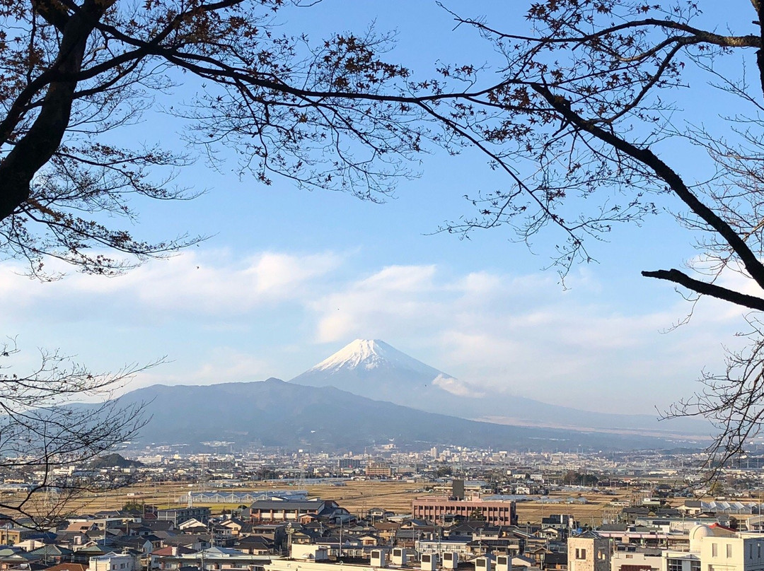 Nirayama Castle Ruins-伊豆之国市必去景点