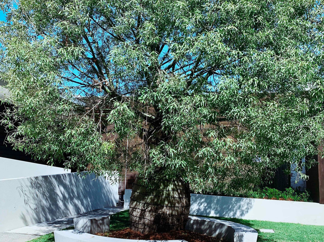 悉尼劳斯山美居酒店主图