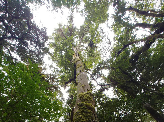 Panamá Travelers-波魁特必去景点